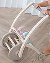 PlanToys Carrello Primi Passi e Picchi in Legno - Incoraggia i Bimbi a Camminare Carrello Primi Passi