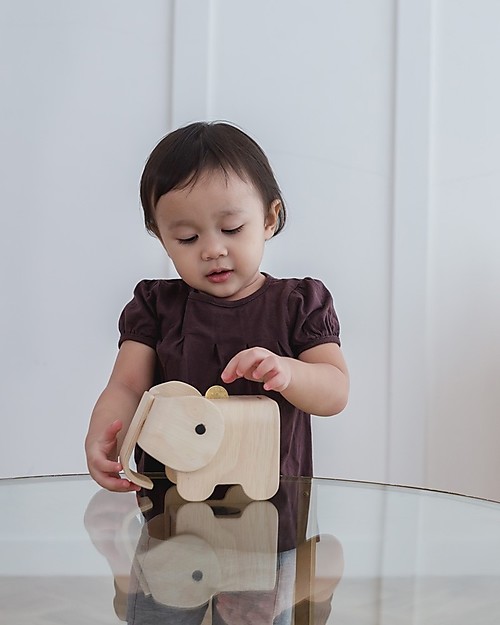 PlanToys Salvadanaio in Legno Elefante Portamonete
