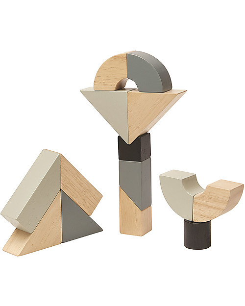 PlanToys Set di Blocchi in Legno - 14 Pezzi di Forme Inusuali unisex  (bambini)