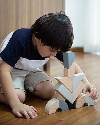 PlanToys Set di Blocchi in Legno - 14 Pezzi di Forme Inusuali Mattoncini da costruzione