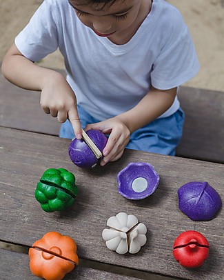 PlanToys Set di Verdura Colorata in Legno - Ecologico e Divertente! Giochi Per Inventare Storie