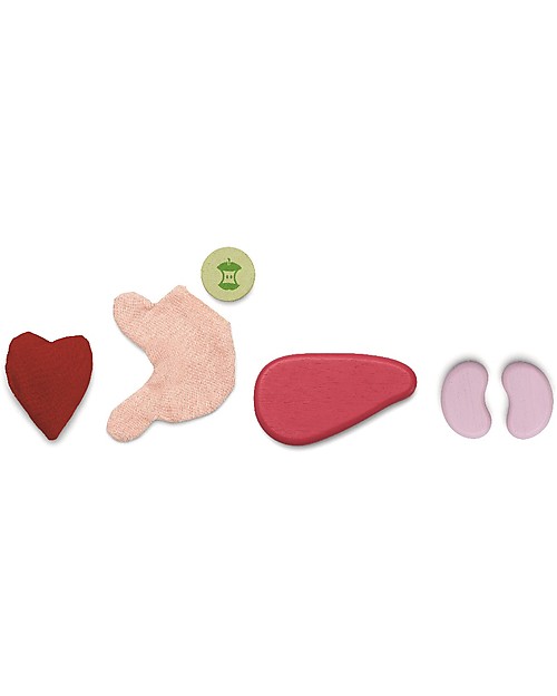 PlanToys Set Gioco Educativo Chirurgo - Impara come funziona il corpo umano! Giochi STEM