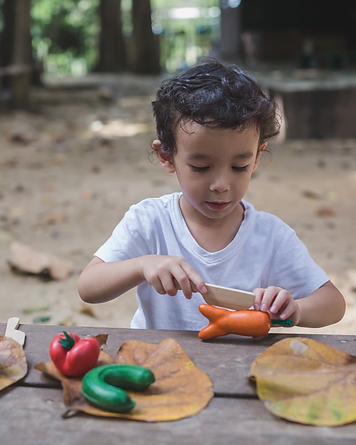 PlanToys Set Imperfetto di Frutta & Verdure in Legno - Insegna a Ridurre lo Spreco del Cibo Cibo Giocattolo