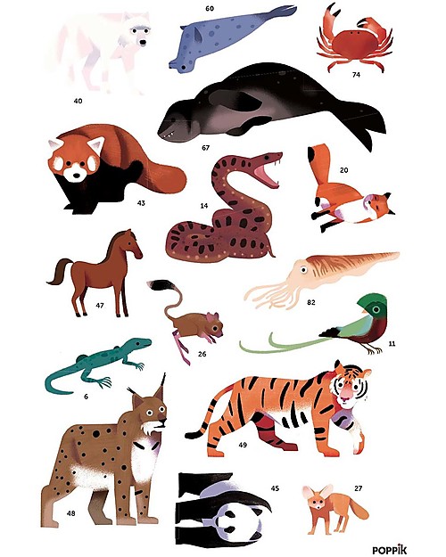 Poppik Poster Scientifico - Animali del Mondo - dai 5 anni unisex (bambini)