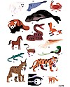 Poppik Poster Scientifico - Animali del Mondo - dai 5 anni Decorazioni da Parete
