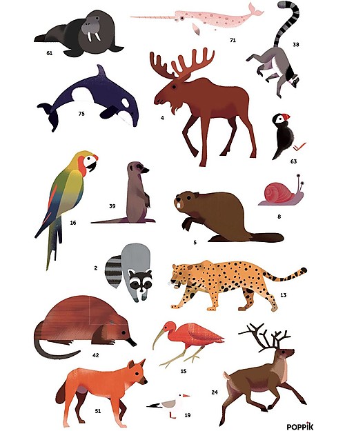 POPPIK - POSTER E STICKERS ANIMALI DEL MONDO