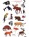 Poppik Poster Scientifico - Animali del Mondo - dai 5 anni Decorazioni da Parete