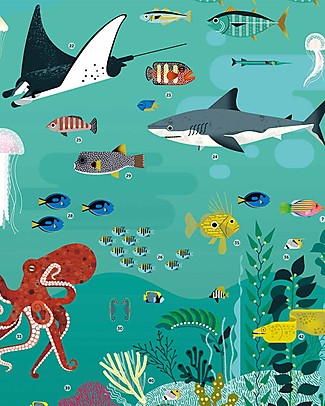 Poppik Poster Scientifico - Animali dell'Oceano - dai 7 anni Carta e Cartone
