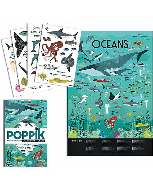 Poppik Poster Scientifico - Animali dell'Oceano - dai 7 anni Decorazioni da Parete