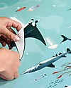 Poppik Poster Scientifico - Animali dell'Oceano - dai 7 anni Decorazioni da Parete