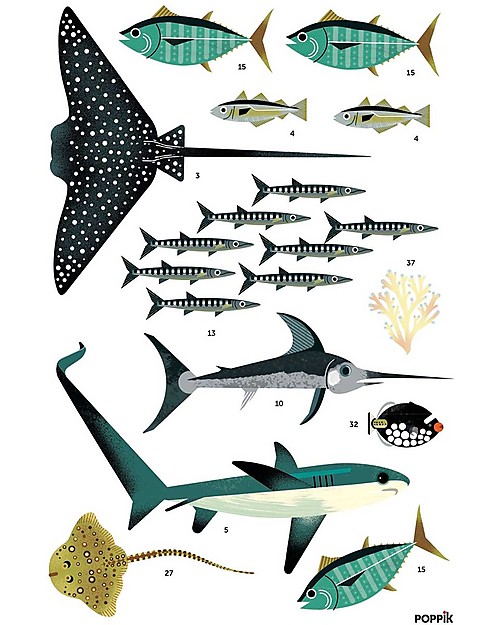 Poppik Poster Scientifico - Animali dell'Oceano - dai 7 anni Decorazioni da Parete