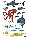 Poppik Poster Scientifico - Animali dell'Oceano - dai 7 anni Decorazioni da Parete