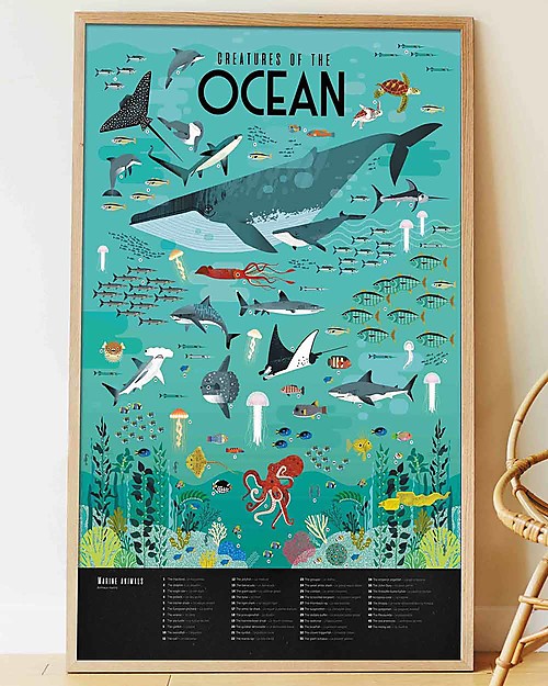 Poppik Poster Scientifico - Animali dell'Oceano - dai 7 anni Decorazioni da Parete