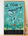 Poppik Poster Scientifico - Animali dell'Oceano - dai 7 anni Decorazioni da Parete