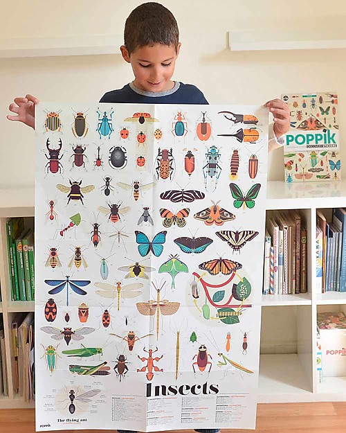 Poppik Poster Scientifico - Insetti - dai 6 anni Decorazioni da Parete