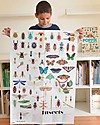 Poppik Poster Scientifico - Insetti - dai 6 anni Decorazioni da Parete
