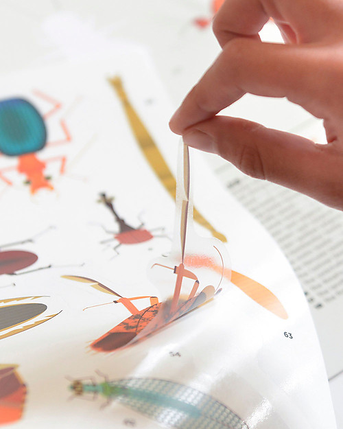 Poppik Poster Scientifico - Insetti - dai 6 anni Decorazioni da Parete