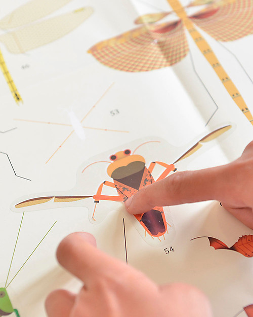 Poppik Poster Scientifico - Insetti - dai 6 anni Decorazioni da Parete