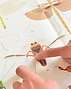 Poppik Poster Scientifico - Insetti - dai 6 anni Decorazioni da Parete
