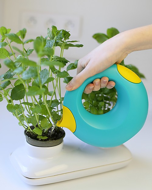 Quut Cana Giocattolo e Annaffiatoio 500 ml - Lagoon Green - Divertente e sicuro per tutta la famiglia! Giochi da Giardinaggio