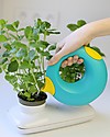 Quut Cana Giocattolo e Annaffiatoio 500 ml - Lagoon Green - Divertente e sicuro per tutta la famiglia! Giochi da Giardinaggio