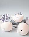 Rabbit & Friends Set 3 Mini Luci Waterproof - Gioco da Bagno Luminoso - Squalo Delfino e Balena Giochi Bagno