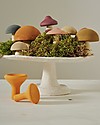 Raduga Grez Set in Legno - Funghi - Gioco Educativo Fatto a Mano per Stimolare il tuo Bambino Giochi Montessoriani