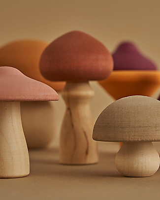 Raduga Grez Set in Legno - Funghi - Gioco Educativo Fatto a Mano per Stimolare il tuo Bambino Giochi Montessoriani