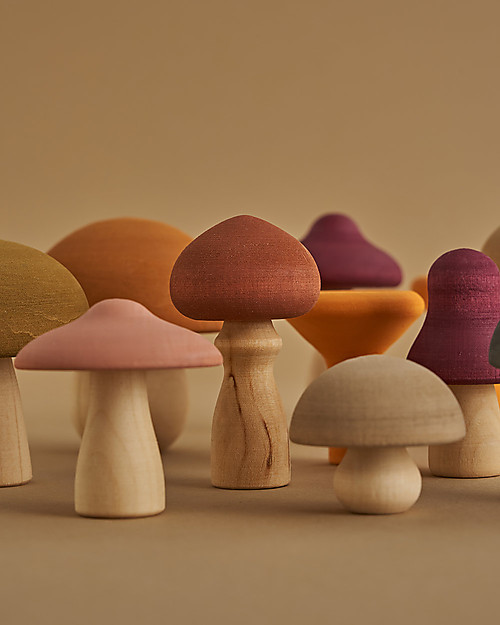 Raduga Grez Set in Legno - Funghi - Gioco Educativo Fatto a Mano per Stimolare il tuo Bambino Giochi Montessoriani