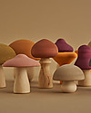 Raduga Grez Set in Legno - Funghi - Gioco Educativo Fatto a Mano per Stimolare il tuo Bambino Giochi Montessoriani