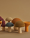 Raduga Grez Set in Legno - Funghi - Gioco Educativo Fatto a Mano per Stimolare il tuo Bambino Giochi Montessoriani