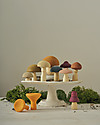 Raduga Grez Set in Legno - Funghi - Gioco Educativo Fatto a Mano per Stimolare il tuo Bambino Giochi Montessoriani