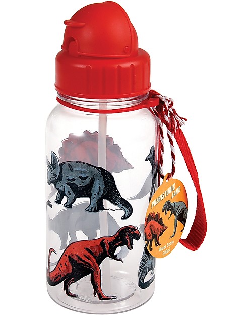Rex London Borraccia 500 ml, Dinosauri - Priva di BPA! Borracce non Termiche