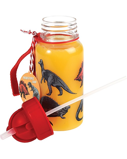 Rex London Borraccia 500 ml, Dinosauri - Priva di BPA! Borracce non Termiche