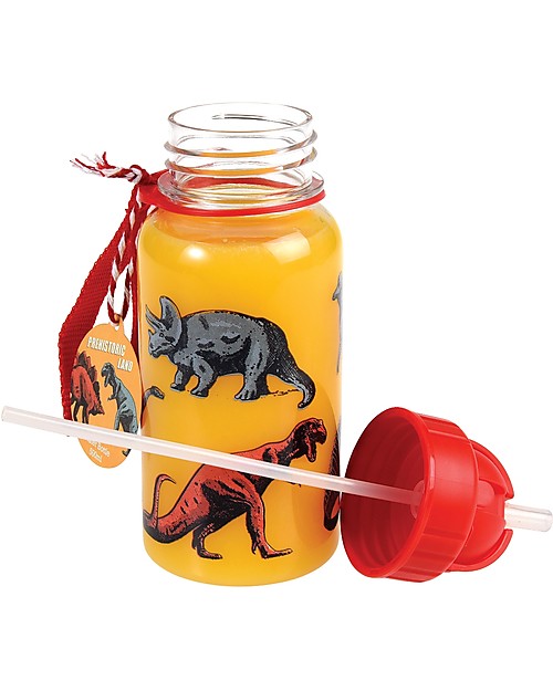 Rex London Borraccia 500 ml, Dinosauri - Priva di BPA! Borracce non Termiche