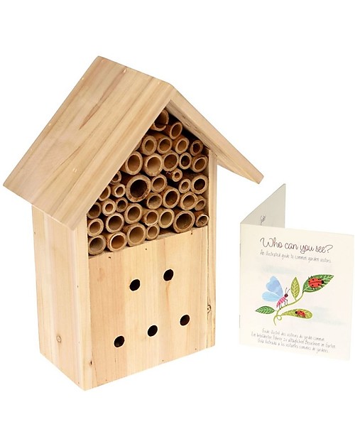 Rex London Casetta delle Api e degli Insetti - Gioca e preserva l'ecosistema Giochi da Esterno_