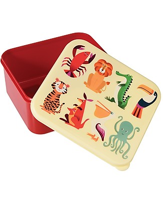 Rex London Contenitore Porta Pranzo, Creature Colorate 14x15x7 cm - Senza BPA! Contenitori Latte e Snack