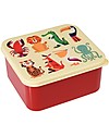 Rex London Contenitore Porta Pranzo, Creature Colorate 14x15x7 cm - Senza BPA! Contenitori Termici