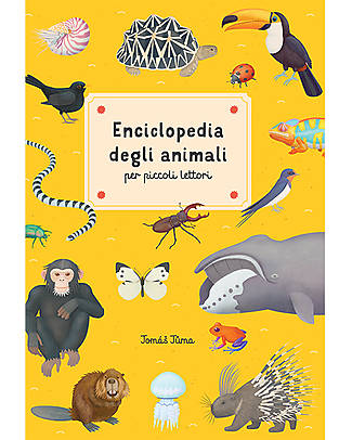Sassi Junior Eciclopedia degli Animali - per Piccoli Lettori - dai 6 Anni Libri
