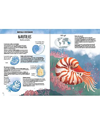 Sassi Junior L'Atlante della Biodiversità - Animali Insoliti e Curiosi Giochi da Viaggio_