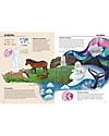 Sassi Junior L'Atlante della Biodiversità - Ecosistemi da Proteggere Libri