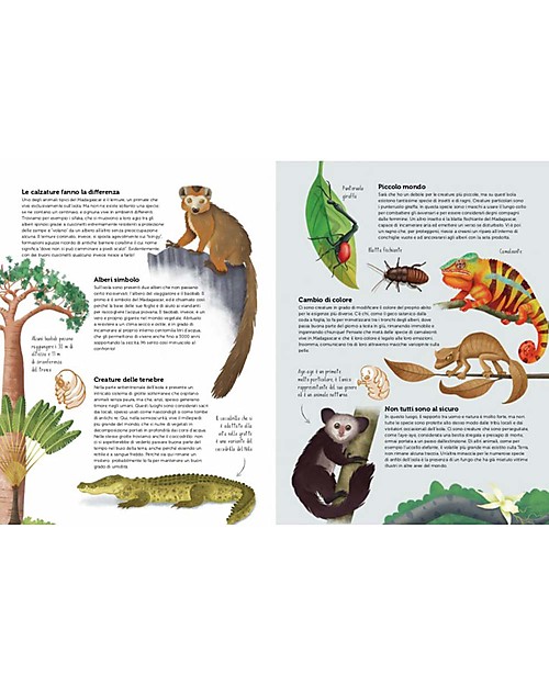 Sassi Junior L'Atlante della Biodiversità - Ecosistemi da Proteggere Libri