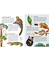 Sassi Junior L'Atlante della Biodiversità - Ecosistemi da Proteggere Libri