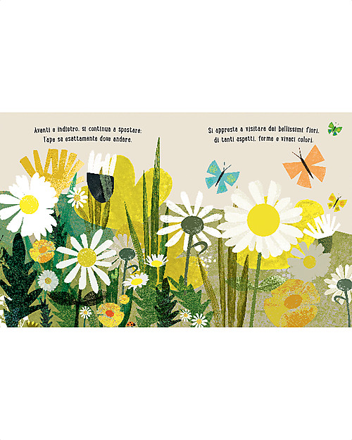 Sassi Junior Libri Illustrati: Ape, 24 pagine - da 3 Anni in su Libri