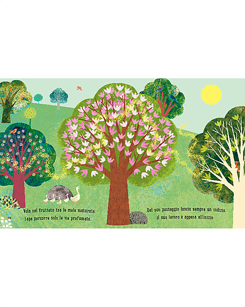 Sassi Junior Libri Illustrati: Ape, 24 pagine - da 3 Anni in su Libri