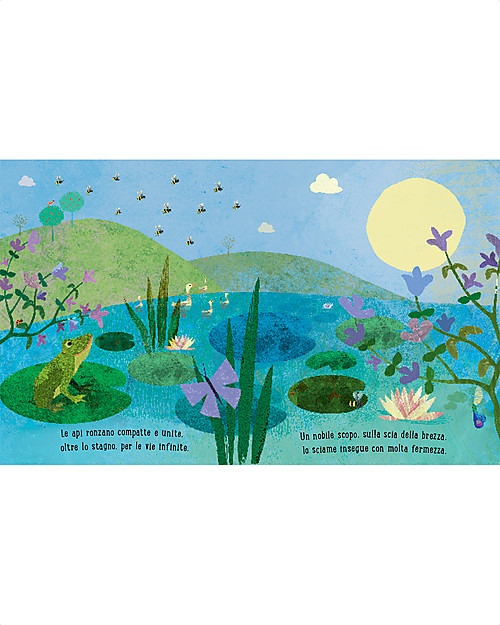 Sassi Junior Libri Illustrati: Ape, 24 pagine - da 3 Anni in su Libri