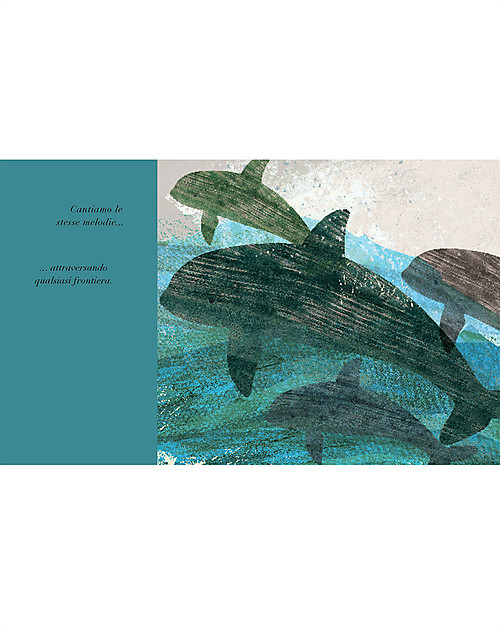 Sassi Junior Libri Illustrati: Sotto lo Stesso Cielo, 24 pagine - da 3 Anni in su Libri