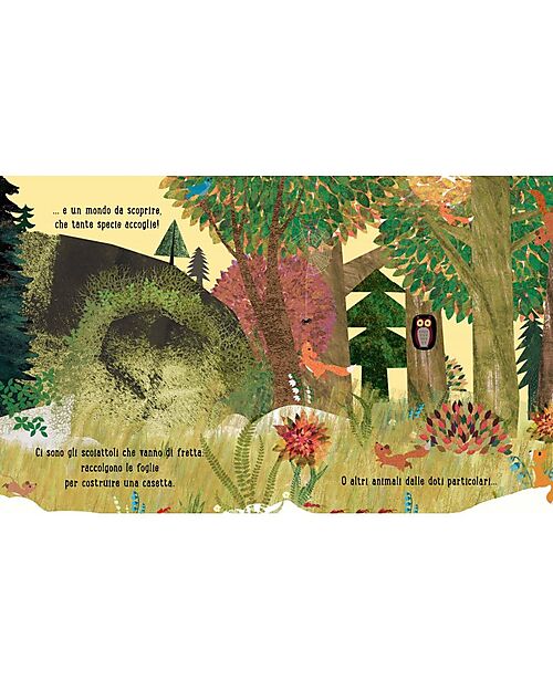 Sassi Junior Libro Illustrato Casa - dai 3 anni Libri