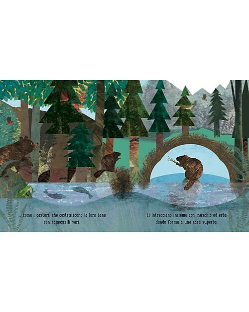 Sassi Junior Libro Illustrato Casa - dai 3 anni Libri