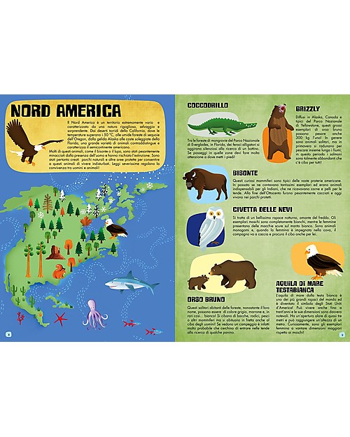 Sassi Junior Puzzle Gigante + Libro, Il Mondo Degli Animali - Da 6 anni in su! Giochi per Inventare Storie